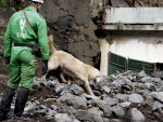Em Portugal, equipes de resgate buscam sobreviventes nos escombros de um edifcio em Funchal, na Ilha da Madeira