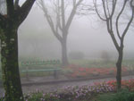 Julho de 2009, Praa das Flores em Nova Petrpolis