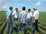 Fazenda Paineira      