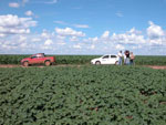 Fazenda Itaquer