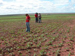 Fazenda Floresta
