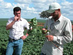 Fazenda Torre III
