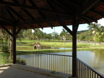 Lago que fica na Expoville.