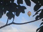 Foto 071, Matheus Spall