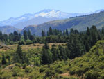 Crowmwel, Nova Zelandia