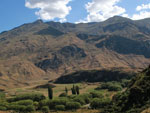 Crowmwel, Nova Zelandia 