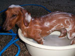 Se refrescando nesse calor! 