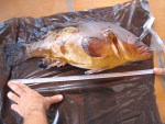 Garoupa foi um dos peixes apreendidos pelo Institulo Chico Mendes