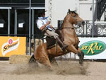 A Associao de Criadores de Cavalos Crioulos da Argentina ressaltou que o Freio de Ouro ter um futuro slido entre os criadores locais