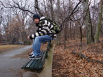 &quot;Apesar do frio de -2C o Central Park nessa poca do ano, tem um ar de magia e mistrio.&quot; Marcos Paulo Schneider