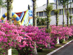 Canteiro de flores no patio da Igreja Martin Luther na Itoupava Seca.