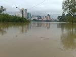 Blumenau