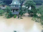 Blumenau