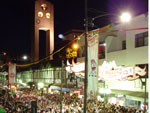 Multido de turistas na Rua XV de Novembro durante a Oktoberfest 2009.