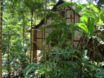 Casaro enxaimel, no bairro Nova Rssia.