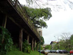 Deque do Biergarten.