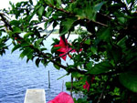 Passeio na Costa da lagoa, vero de 2009. - Foto de R Oliveira, de Florianpolis - 