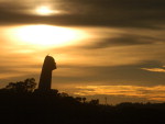 O amanhecer foi bonito na Serra