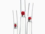 Em 2000, Kenzo lanou FlowerbyKenzo, perfume delicado e forte com aroma de papoula. Nove anos depois, a grife retorna com nova fragrncia: FlowerbyKenzo Essentielle