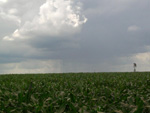 O internauta der Braun registrou o incio de uma chuva que aparentava ser um tornado na cidade de Ibirub, RS