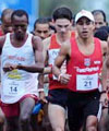 Jefferson Botega