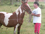 Fabiano Cardoso