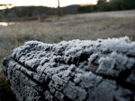 Frio na Serra catarinense. Em So Joaquim, houve formao de geada