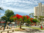 Centro da cidade.