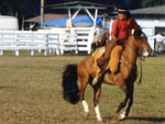 Luciano Lima Matias