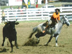 Aquiles Duarte