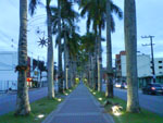 Rua das Palmeiras.