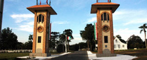 (Prefeitura Municipal de S�o Jos� dos Pinhais)