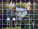 Reflexo no Castelinho da Havan.