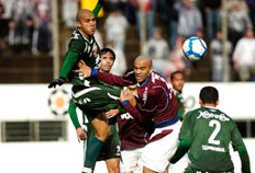 Ricardo Wolffenb�ttel�/�