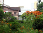 Natureza presente no Centro de Blumenau.