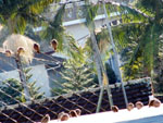 Rolinhas irrequietas tomando banho de sol num dia muito frio e muito iluminado.