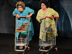 TEATRO ADULTO: Mes &amp; Sogras