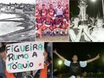 Montagem sobre fotos, Banco de Dados