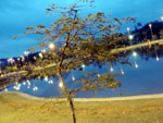 Parque Ramiro Ruediger  noite.