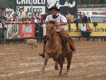 Alcalina 441 Maufer - Cabanha Maufer - Ginete: Nei Eduardo Rodrigues Lima - 1 Lugar, com 21.792 pontos