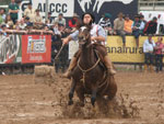 Herana do Carrachi - Estncia Vendramin - Ginete: Fbio Teixeira da Silveira - 3 Lugar, com 20.799 pontos