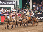 Final do Freio de Ouro