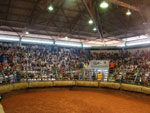 Pista da prova de Mangueira