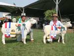 Com quatro animais, a Cabanha Vier teve nove rosetas este em Esteio