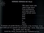 Poema VERDES VERSOS NO VALE, que homenageia Blumenau.