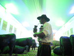 A Expointer 2010 reafirmou o brilho da pecuria gacha. Para pecuaristas, a reao do preo do boi gordo impulsionou a feira