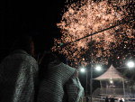 Show de fogos fechou o desfile