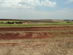 rea Experimental da Embrapa Soja