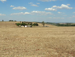 Vista geral da fazenda do agricultor
