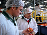 Fischer Frutas, em Fraiburgo (SC)